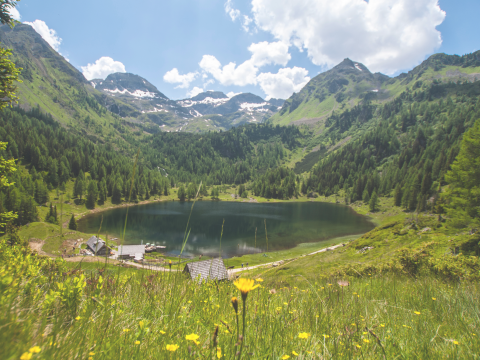 mtb downhill Mountainbike Planai Schladming Dachstein Sommer Bergsee