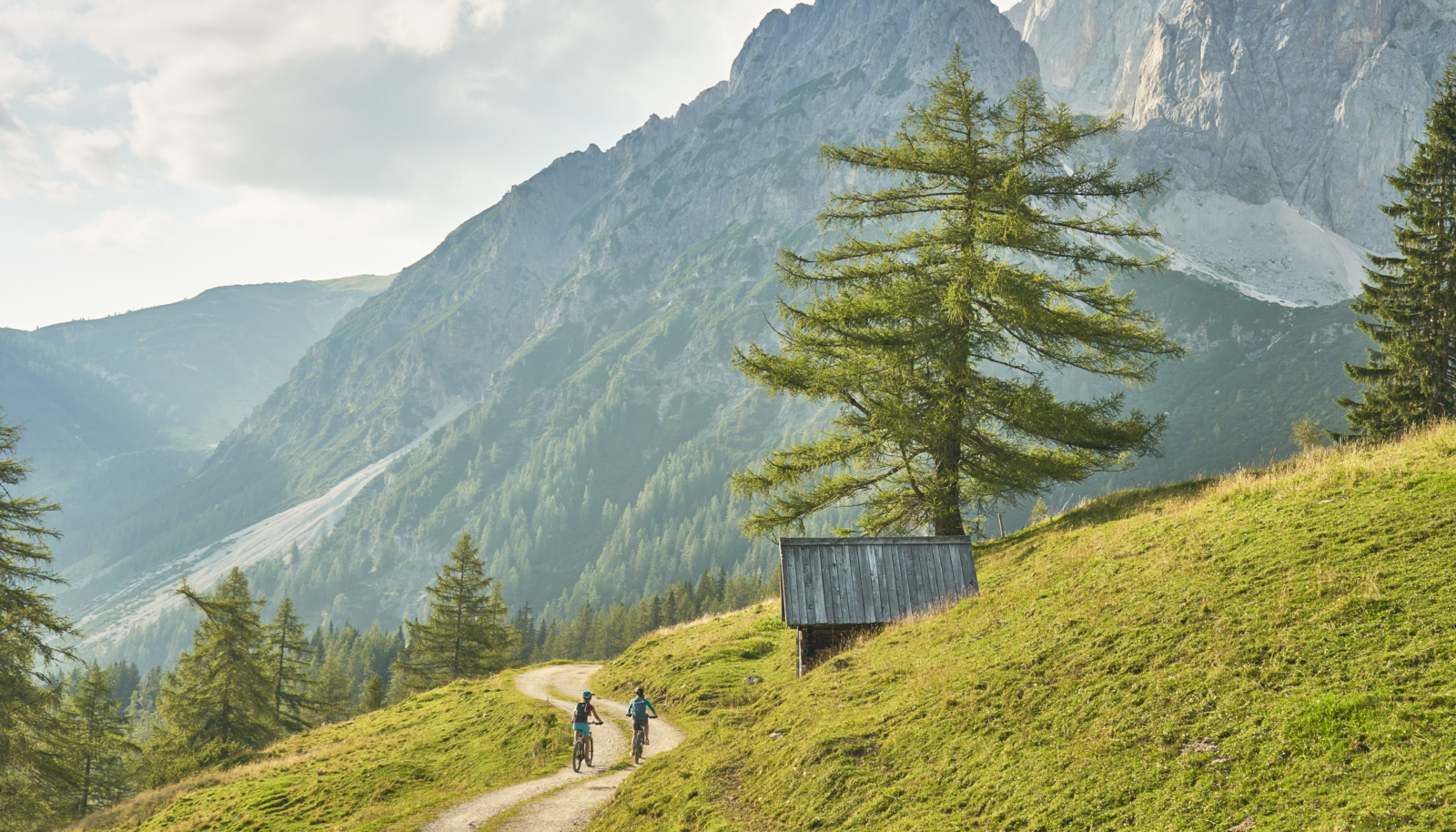 Mountainbike mtb downhill Apartments Schladming-Dachstein Schladminger Planai Urlaub Ferien